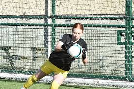 Image result for Harbertonford A F C