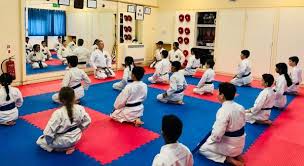Image result for ZOKU SHOTOKAN KARATE (Baldock)