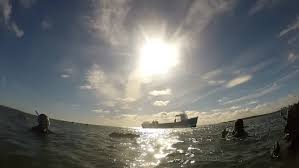 Image result for Apneists UK