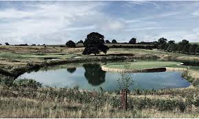 Image result for Cumberwell Park Golf Club