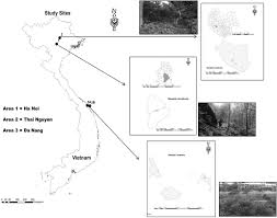 Attēlu rezultāti vaicājumam “Stemonitopsis aequalis var. microspora spores”