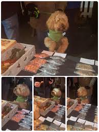 Image result for Brooksbottom Cc