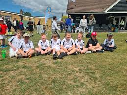 Image result for Bradenham Cricket Club