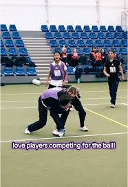 Image result for Mk Netters Netball Club