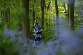 Image result for Shelton Striders