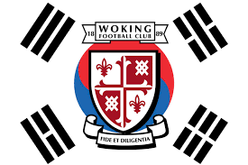 Image result for Woking Korfball Club