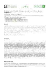 Attēlu rezultāti vaicājumam “Hemitrichia chrysospora”