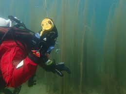 Image result for Leeds Free Divers Octopush Club