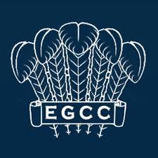 Image result for East Grinstead Cc