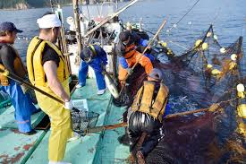 「宝町雨彦」の画像検索結果