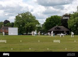 Image result for Ulgham Village Cricket Club