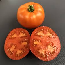 Afbeeldingsresultaat voor caro rich tomato