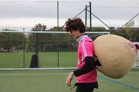 Image result for Ukc Falcons