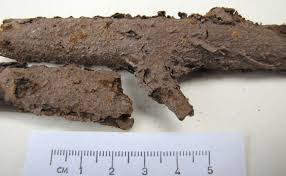 Attēlu rezultāti vaicājumam “Junghuhnia pseudozilingiana”