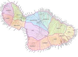 「VHAPUNI　MAO」の画像検索結果