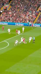 Image result for Manunitid