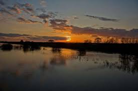 Image result for Grimsargh Cricket Club