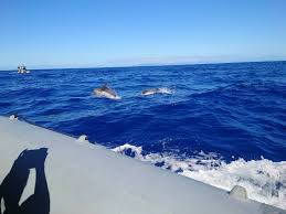 Image result for Banbury Sub Aqua Club