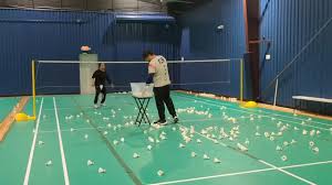 Image result for Texans Badminton Club