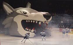 Image result for Sudbury Hockey Club