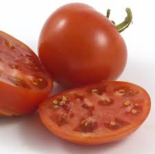Afbeeldingsresultaat voor earliana tomato