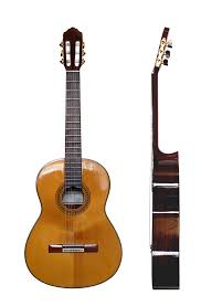 Image result for guitar