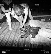 Image result for The big shot Dwarf tossing club