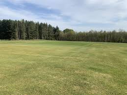 Image result for Willey Wanderers Cricket Club