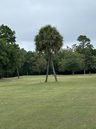 Image result for The Moors Golf & Lodging