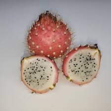 Attēlu rezultāti vaicājumam “Anisantha tectorum fruit”