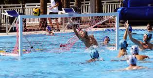 Image result for Frome Waterpolo Club