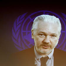 Image result for julian assange