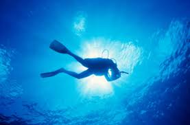 Image result for Meadurst Sub-Aqua Club