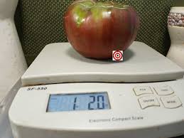 Afbeeldingsresultaat voor black oxheart tomato