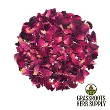 Image result for Rosa canina