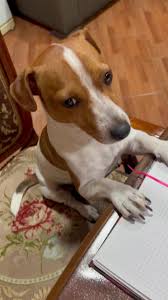 gamravlebis-ის სურათის შედეგი