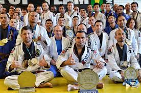 Image result for Brazilian-martial arts