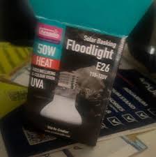 Risultati immagini per arcadia basking solar flood