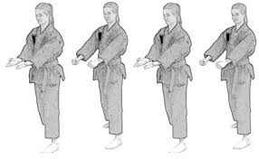 Image result for Sandokai Karate