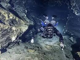 Image result for DeeperBlue.net Tribe (South London)