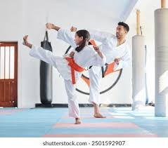 Image result for Sokudo Martial Arts Club