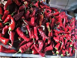 Afbeeldingsresultaat voor numex chimayo hot pepper