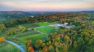 Image result for Chapeltown 50  Scrabble Club