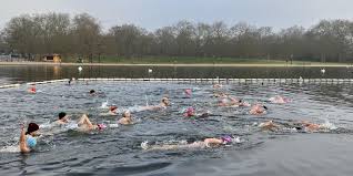Image result for Serpentine Swimming Club