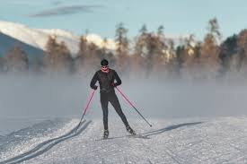 Image result for Gordon Skiers