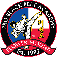 Image result for Professional  Martial Arts Academy