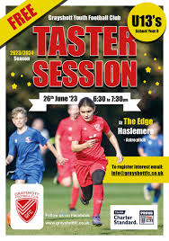 Image result for Haslemere Town Youth Football Club