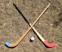 Image result for World of Shinty