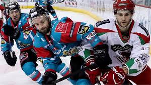 Image result for Cardiff Capitals