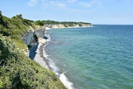 Image result for stevns klint